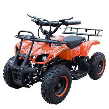 Электроквадроцикл GreenCamel Гоби K200 (36V 800W R6 Цепной привод) Оранжевый паук